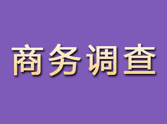 高陵商务调查